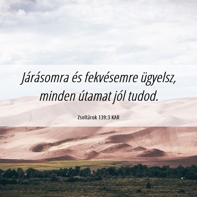 Picture 06 - Zsoltárok 139:3 KAR - Járásomra és fekvésemre ügyelsz, minden - Bible Verse Picture