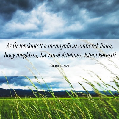 Picture 06 - Zsoltárok 14:2 KAR - Az Úr letekintett a mennybõl az emberek fiaira, - Bible Verse Picture