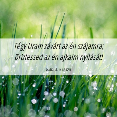 Picture 06 - Zsoltárok 141:3 KAR - Tégy Uram závárt az én szájamra; õriztessed - Bible Verse Picture
