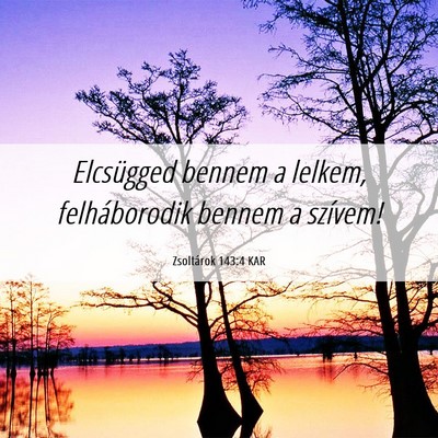 Picture 06 - Zsoltárok 143:4 KAR - Elcsügged bennem a lelkem, felháborodik bennem - Bible Verse Picture