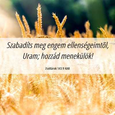 Picture 06 - Zsoltárok 143:9 KAR - Szabadíts meg engem ellenségeimtõl, Uram; - Bible Verse Picture
