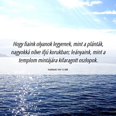 Picture 06 - Zsoltárok 144:12 KAR - Hogy fiaink olyanok legyenek, mint a plánták, - Bible Verse Picture