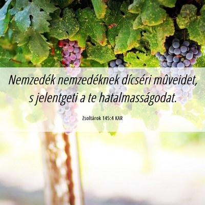 Picture 06 - Zsoltárok 145:4 KAR - Nemzedék nemzedéknek dícséri mûveidet, s - Bible Verse Picture