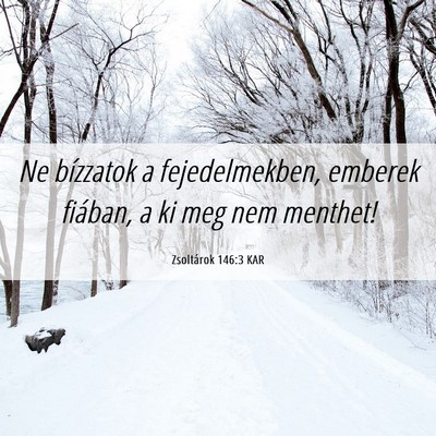 Picture 06 - Zsoltárok 146:3 KAR - Ne bízzatok a fejedelmekben, emberek fiában, a - Bible Verse Picture