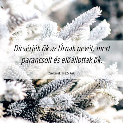 Picture 06 - Zsoltárok 148:5 KAR - Dicsérjék õk az Úrnak nevét, mert parancsolt - Bible Verse Picture