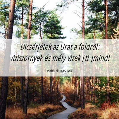 Picture 06 - Zsoltárok 148:7 KAR - Dicsérjétek az Urat a földrõl: viziszörnyek - Bible Verse Picture