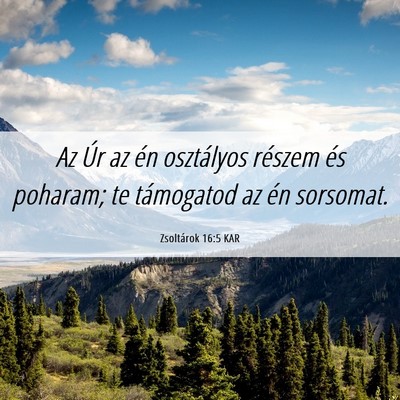 Picture 06 - Zsoltárok 16:5 KAR - Az Úr az én osztályos részem és poharam; te - Bible Verse Picture