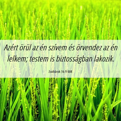 Picture 06 - Zsoltárok 16:9 KAR - Azért örül az én szívem és örvendez az én - Bible Verse Picture