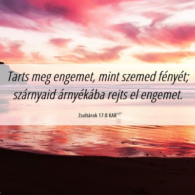 Picture 06 - Zsoltárok 17:8 KAR - Tarts meg engemet, mint szemed fényét; - Bible Verse Picture