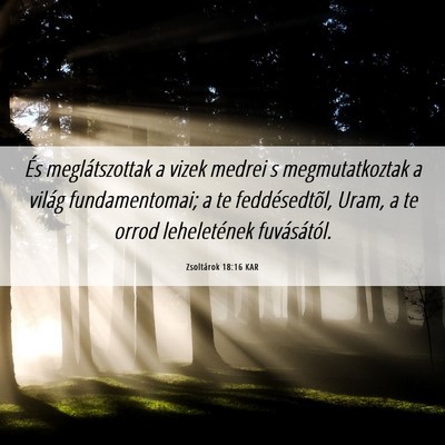 Picture 06 - Zsoltárok 18:16 KAR - És meglátszottak a vizek medrei s - Bible Verse Picture