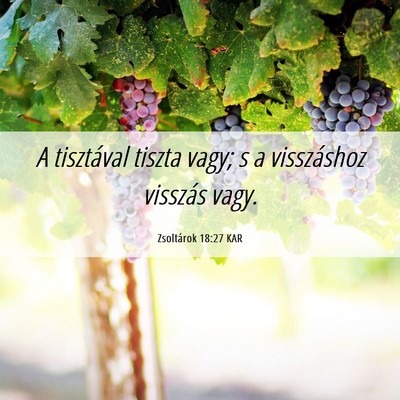 Picture 06 - Zsoltárok 18:27 KAR - A tisztával tiszta vagy; s a visszáshoz - Bible Verse Picture