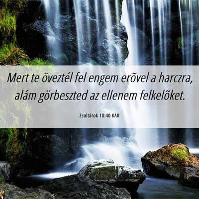 Picture 06 - Zsoltárok 18:40 KAR - Mert te öveztél fel engem erõvel a harczra, - Bible Verse Picture