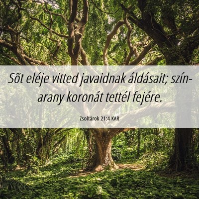 Picture 06 - Zsoltárok 21:4 KAR - Sõt eléje vitted javaidnak áldásait; - Bible Verse Picture