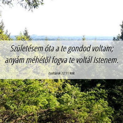 Picture 06 - Zsoltárok 22:11 KAR - Születésem óta a te gondod voltam; anyám - Bible Verse Picture