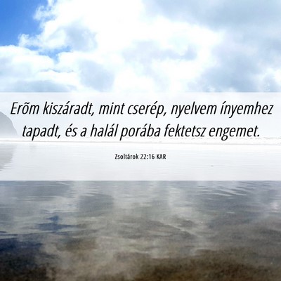 Picture 06 - Zsoltárok 22:16 KAR - Erõm kiszáradt, mint cserép, nyelvem ínyemhez - Bible Verse Picture