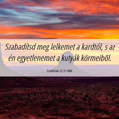 Picture 06 - Zsoltárok 22:21 KAR - Szabadítsd meg lelkemet a kardtól, s az én - Bible Verse Picture
