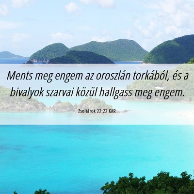 Picture 06 - Zsoltárok 22:22 KAR - Ments meg engem az oroszlán torkából, és a - Bible Verse Picture