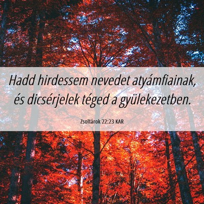 Picture 06 - Zsoltárok 22:23 KAR - Hadd hirdessem nevedet atyámfiainak, és - Bible Verse Picture