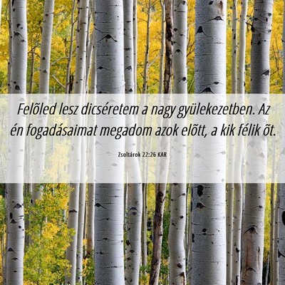 Picture 06 - Zsoltárok 22:26 KAR - Felõled lesz dicséretem a nagy gyülekezetben. - Bible Verse Picture