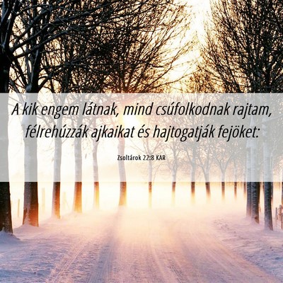 Picture 06 - Zsoltárok 22:8 KAR - A kik engem látnak, mind csúfolkodnak rajtam, - Bible Verse Picture