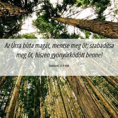 Picture 06 - Zsoltárok 22:9 KAR - Az Úrra bízta magát, mentse meg õt; - Bible Verse Picture