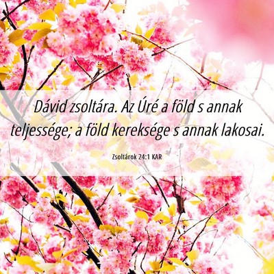 Picture 06 - Zsoltárok 24:1 KAR - Dávid zsoltára. Az Úré a föld s annak - Bible Verse Picture