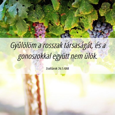 Picture 06 - Zsoltárok 26:5 KAR - Gyûlölöm a rosszak társaságát, és a - Bible Verse Picture