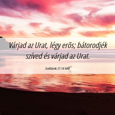 Picture 06 - Zsoltárok 27:14 KAR - Várjad az Urat, légy erõs; bátorodjék - Bible Verse Picture