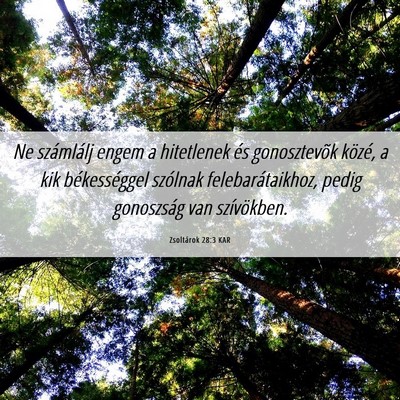 Picture 06 - Zsoltárok 28:3 KAR - Ne számlálj engem a hitetlenek és gonosztevõk - Bible Verse Picture