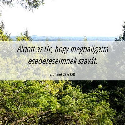 Picture 06 - Zsoltárok 28:6 KAR - Áldott az Úr, hogy meghallgatta esedezéseimnek - Bible Verse Picture