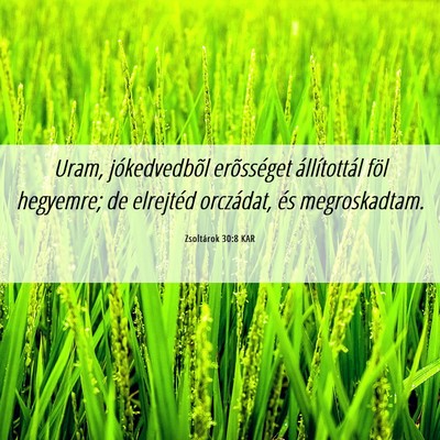 Picture 06 - Zsoltárok 30:8 KAR - Uram, jókedvedbõl erõsséget állítottál - Bible Verse Picture