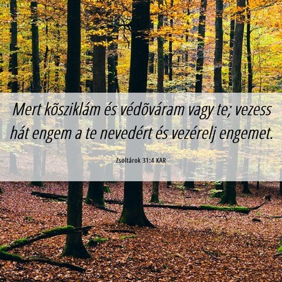 Picture 06 - Zsoltárok 31:4 KAR - Mert kõsziklám és védõváram vagy te; vezess - Bible Verse Picture