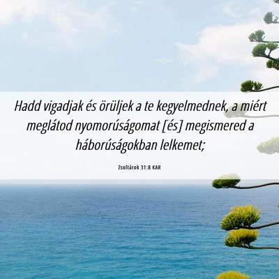 Picture 06 - Zsoltárok 31:8 KAR - Hadd vigadjak és örüljek a te kegyelmednek, a - Bible Verse Picture