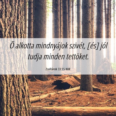 Picture 06 - Zsoltárok 33:15 KAR - Õ alkotta mindnyájok szivét, [és] jól tudja - Bible Verse Picture