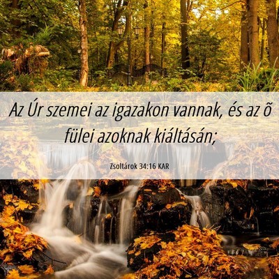 Picture 06 - Zsoltárok 34:16 KAR - Az Úr szemei az igazakon vannak, és az õ - Bible Verse Picture