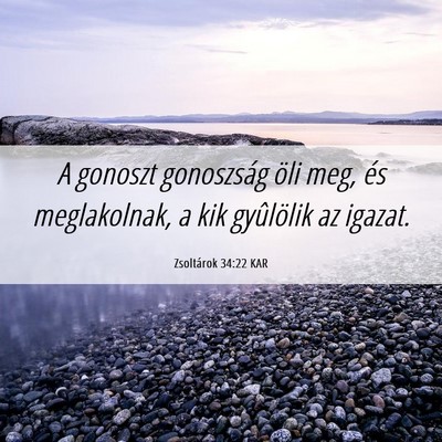 Picture 06 - Zsoltárok 34:22 KAR - A gonoszt gonoszság öli meg, és meglakolnak, a - Bible Verse Picture