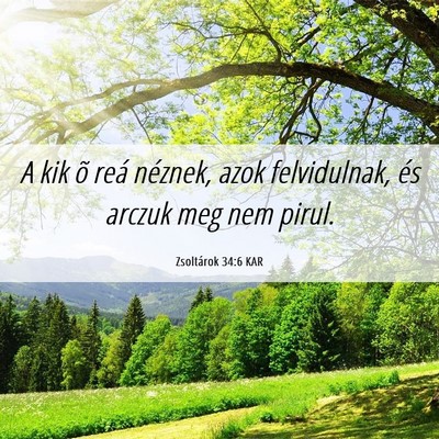 Picture 06 - Zsoltárok 34:6 KAR - A kik õ reá néznek, azok felvidulnak, és - Bible Verse Picture