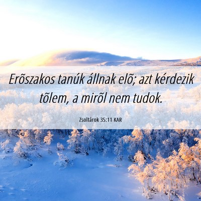 Picture 06 - Zsoltárok 35:11 KAR - Erõszakos tanúk állnak elõ; azt kérdezik - Bible Verse Picture