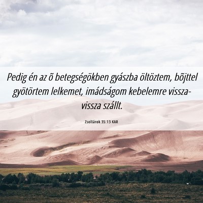 Picture 06 - Zsoltárok 35:13 KAR - Pedig én az õ betegségökben gyászba - Bible Verse Picture