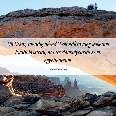 Picture 06 - Zsoltárok 35:17 KAR - Oh Uram, meddig nézed? Szabadítsd meg lelkemet - Bible Verse Picture