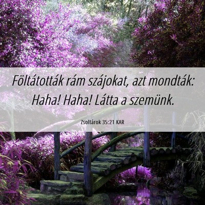 Picture 06 - Zsoltárok 35:21 KAR - Föltátották rám szájokat, azt mondták: - Bible Verse Picture