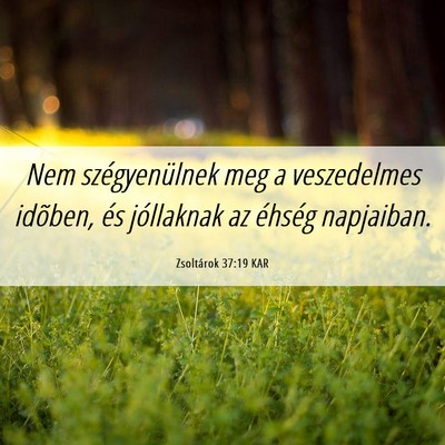 Picture 06 - Zsoltárok 37:19 KAR - Nem szégyenülnek meg a veszedelmes idõben, és - Bible Verse Picture