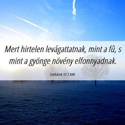 Picture 06 - Zsoltárok 37:2 KAR - Mert hirtelen levágattatnak, mint a fû, s mint - Bible Verse Picture