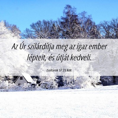 Picture 06 - Zsoltárok 37:23 KAR - Az Úr szilárdítja meg az igaz ember lépteit, - Bible Verse Picture