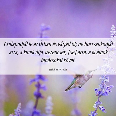 Picture 06 - Zsoltárok 37:7 KAR - Csillapodjál le az Úrban és várjad õt; ne - Bible Verse Picture