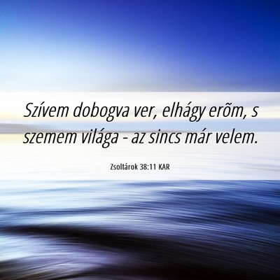 Picture 06 - Zsoltárok 38:11 KAR - Szívem dobogva ver, elhágy erõm, s szemem - Bible Verse Picture