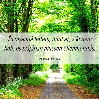 Picture 06 - Zsoltárok 38:15 KAR - És olyanná lettem, mint az, a ki nem hall, és - Bible Verse Picture