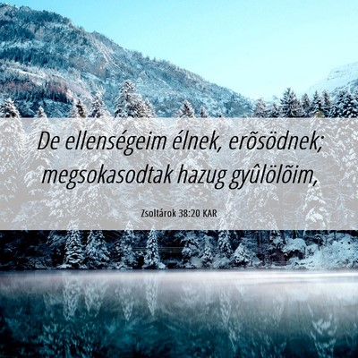 Picture 06 - Zsoltárok 38:20 KAR - De ellenségeim élnek, erõsödnek; - Bible Verse Picture