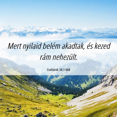 Picture 06 - Zsoltárok 38:3 KAR - Mert nyilaid belém akadtak, és kezed rám - Bible Verse Picture