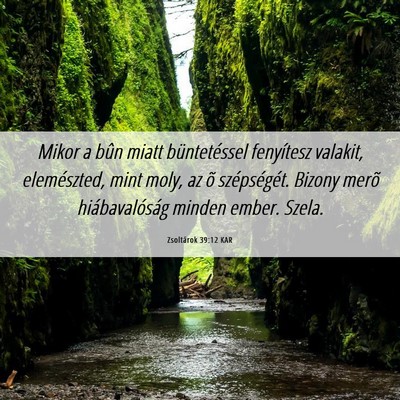 Picture 06 - Zsoltárok 39:12 KAR - Mikor a bûn miatt büntetéssel fenyítesz - Bible Verse Picture